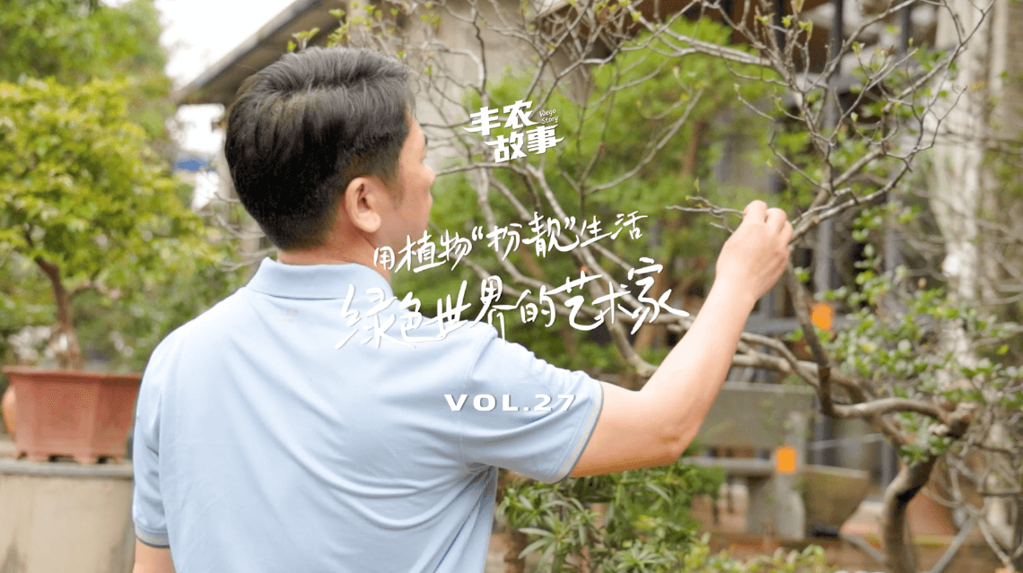 17年，他用一草一木去点亮了一个个家。