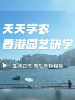 与香港园艺学会联合举办香港园艺研学，专业园境师带队讲解。