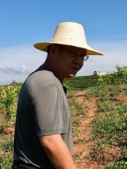 农业人叶涛，50多岁通讯人跨界搞农业，他要用1000万打造一个梦。