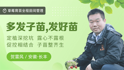 多发子苗，发好苗